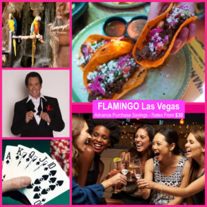 Flamingo Las Vegas Discounts for Military, Nurses, & More